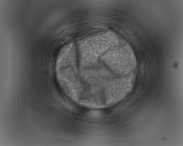 X0000094200218200711241644