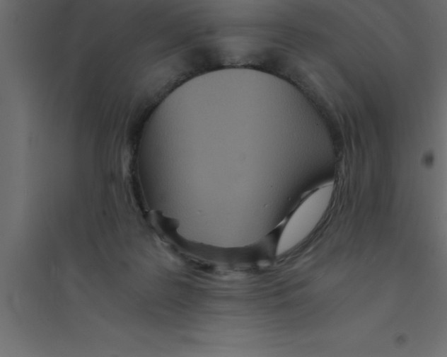 X0000094200219200711241644