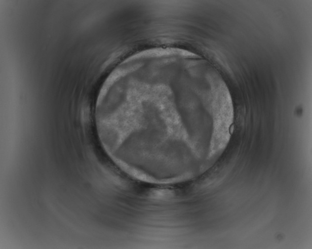 X0000094200220200711241644