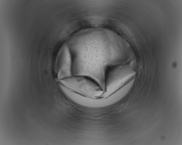 X0000094200221200711241644