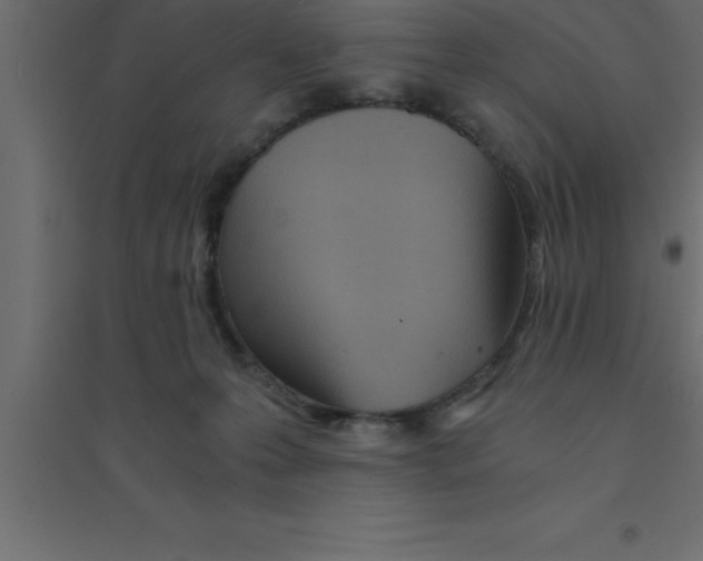 X0000094200223200711241644