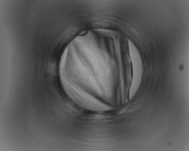 X0000094200224200711241644