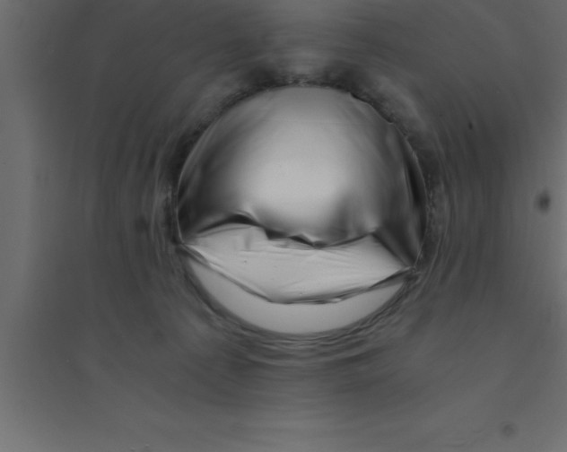 X0000094200225200711241644