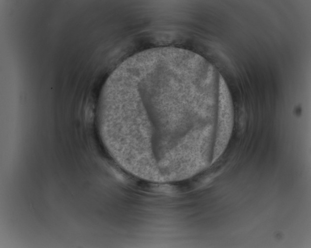 X0000094200226200711241644
