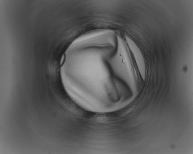 X0000094200228200711241644