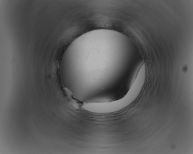 X0000094200229200711241644