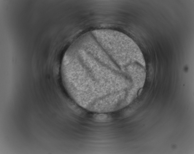 X0000094200230200711241644