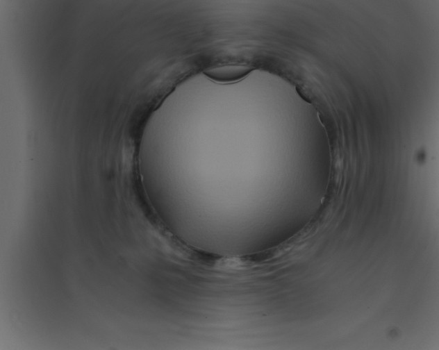 X0000094200231200711241644