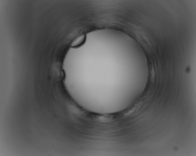 X0000094200232200711241644
