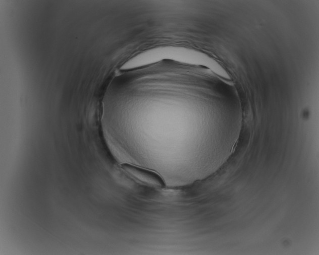 X0000094200233200711241644