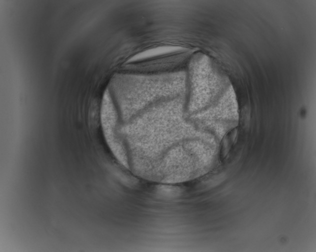 X0000094200234200711241644