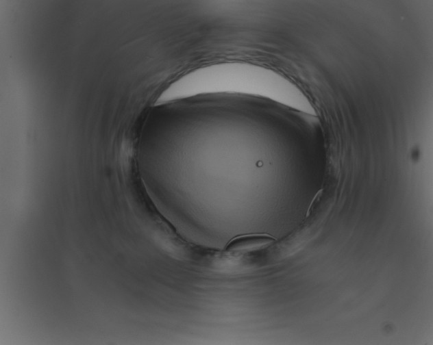X0000094200235200711241644