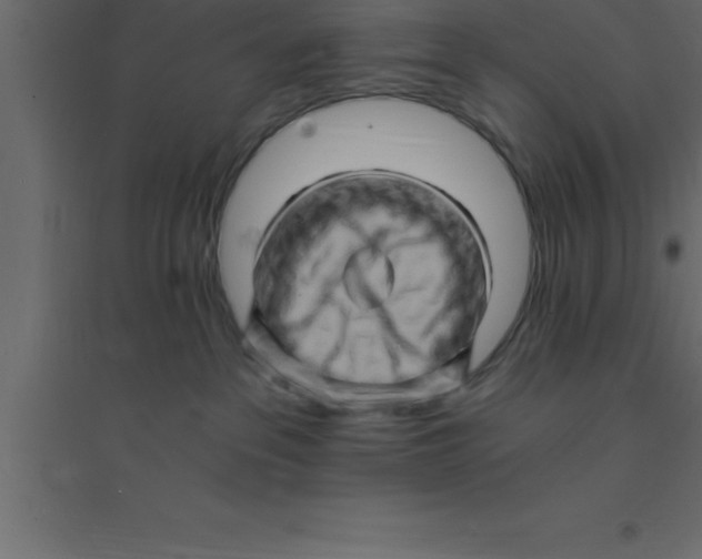 X0000094200237200711241644