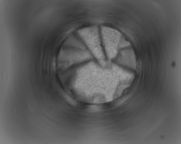 X0000094200238200711241644
