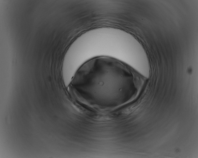 X0000094200239200711241644