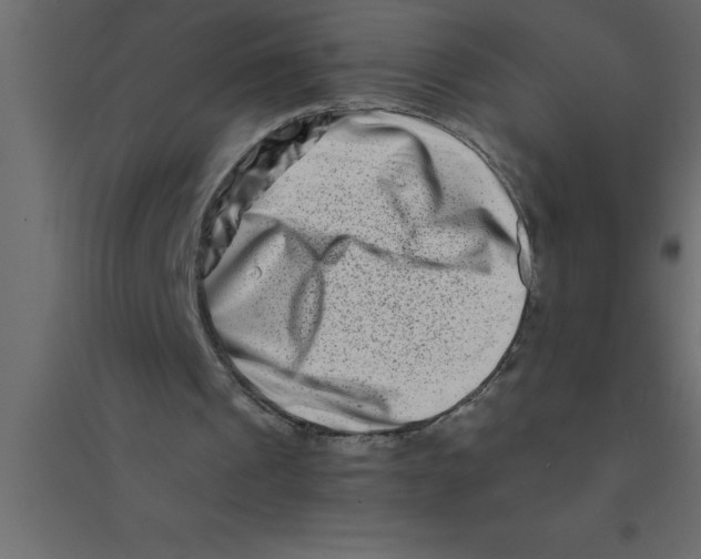 X0000094200241200711241643