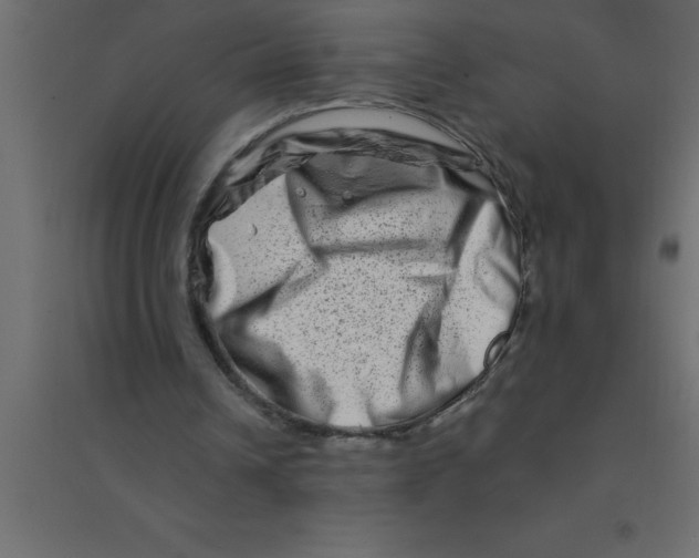 X0000094200242200711241643