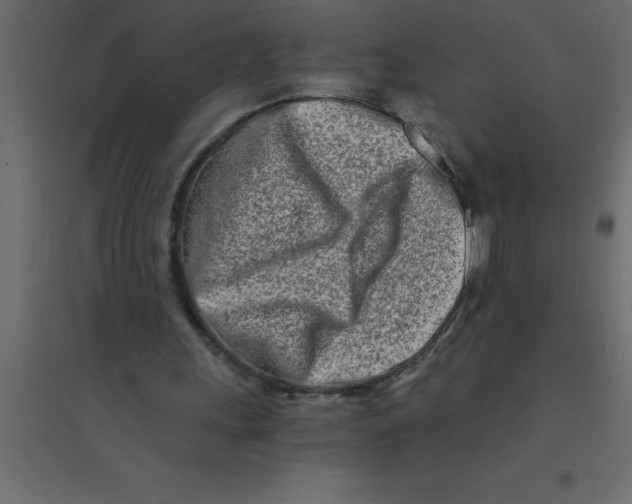 X0000094200243200711241643