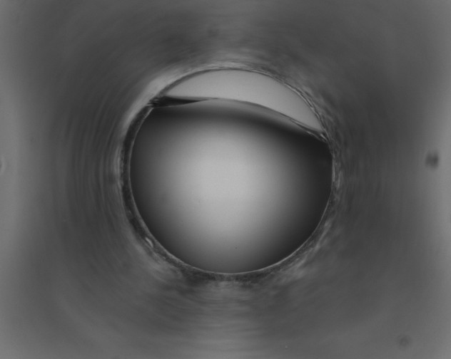 X0000094200244200711241643