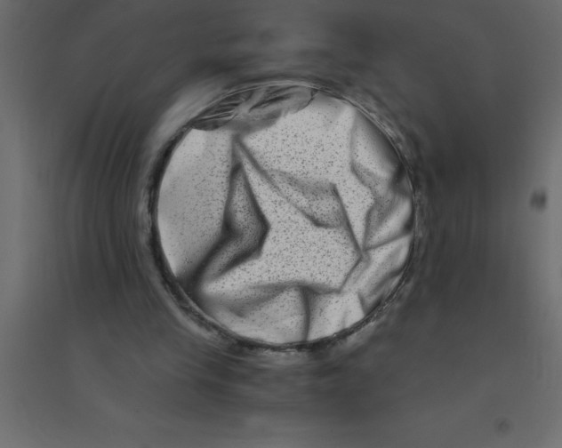 X0000094200245200711241643