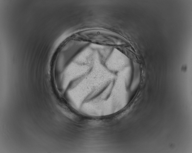 X0000094200246200711241643