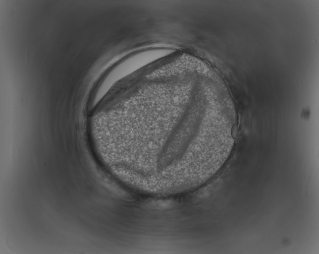 X0000094200247200711241643