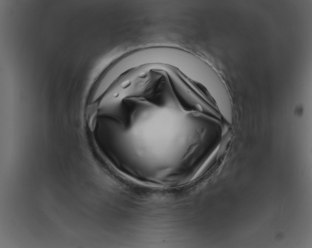 X0000094200248200711241643