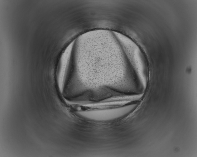 X0000094200249200711241643
