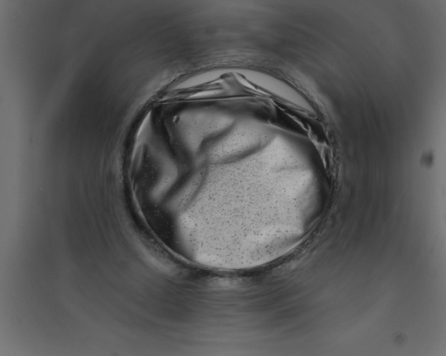 X0000094200250200711241644