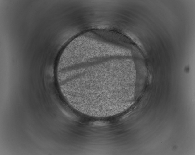 X0000094200251200711241644