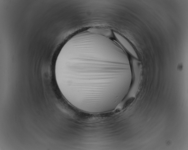 X0000094200252200711241644