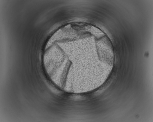 X0000094200253200711241644