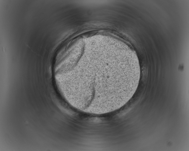 X0000094200254200711241644