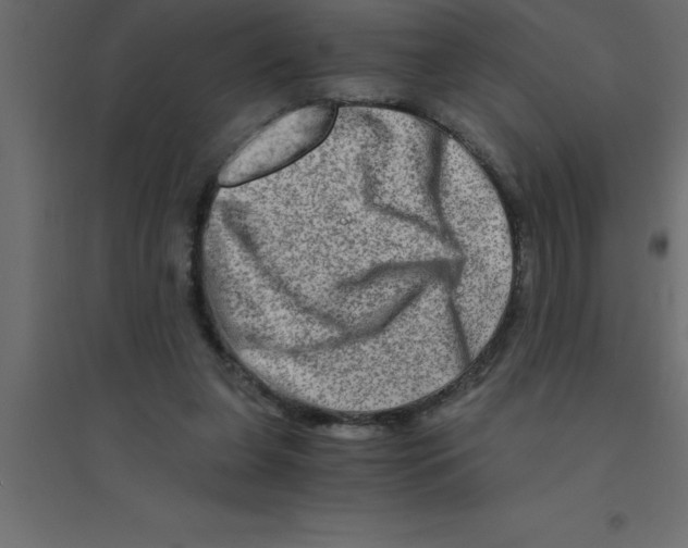 X0000094200255200711241644
