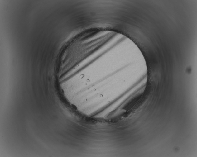 X0000094200256200711241644