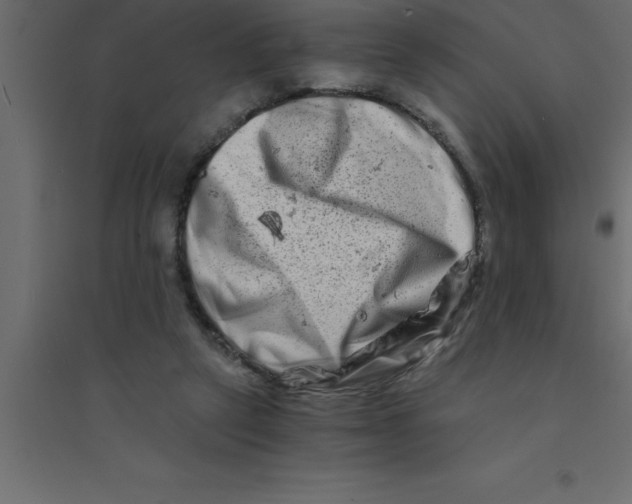 X0000094200257200711241644