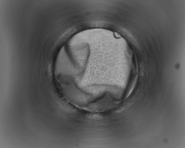X0000094200258200711241644