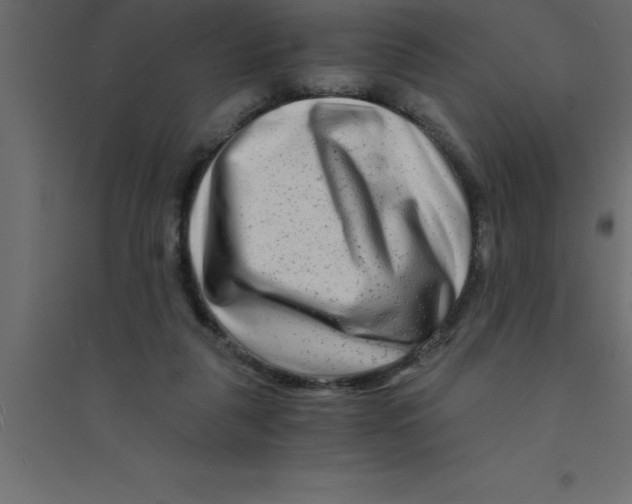 X0000094200259200711241644