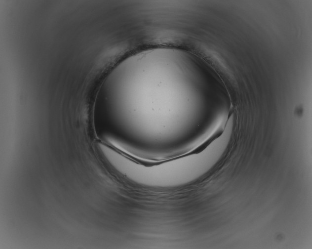 X0000094200260200711241644