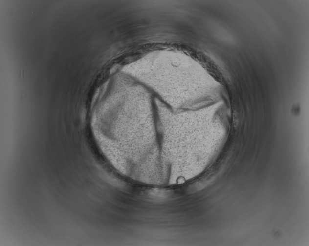 X0000094200261200711241644