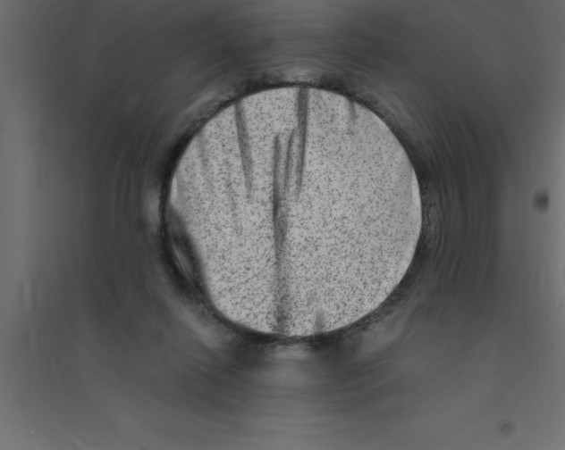 X0000094200262200711241644