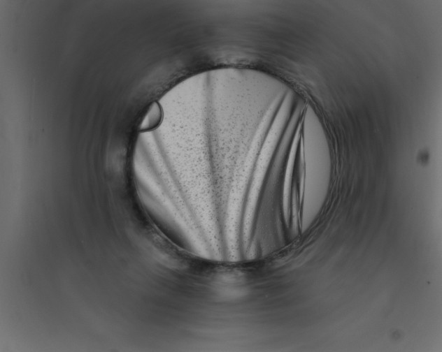 X0000094200263200711241644