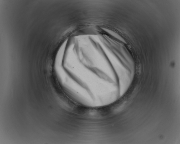 X0000094200264200711241644