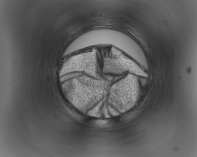 X0000094200265200711241644