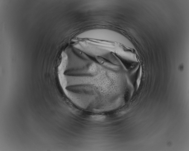 X0000094200266200711241644