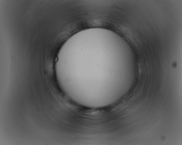 X0000094200267200711241644