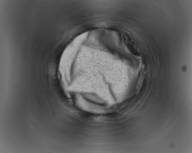 X0000094200268200711241644