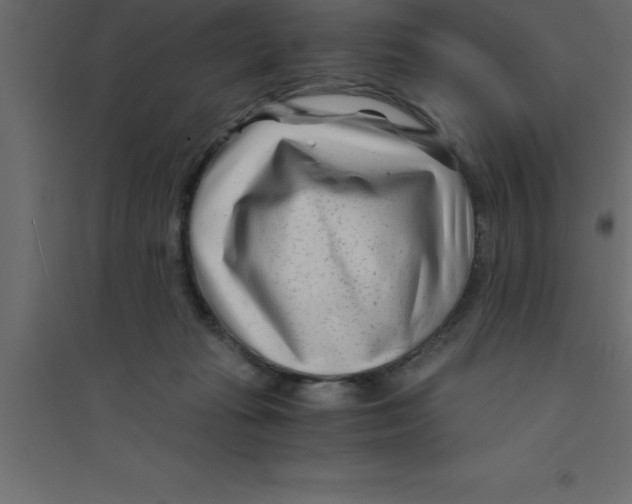 X0000094200269200711241644