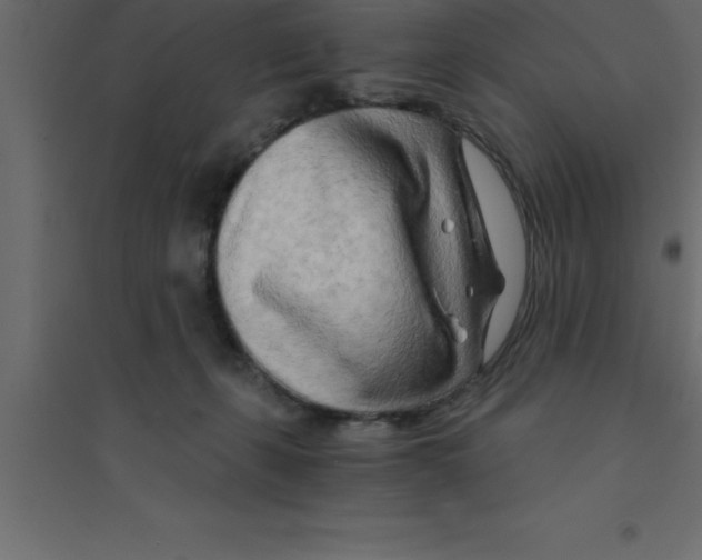 X0000094200271200711241644