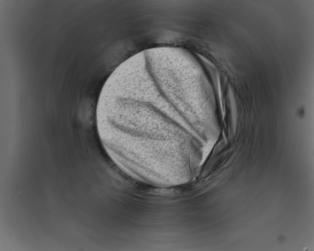 X0000094200273200711241644